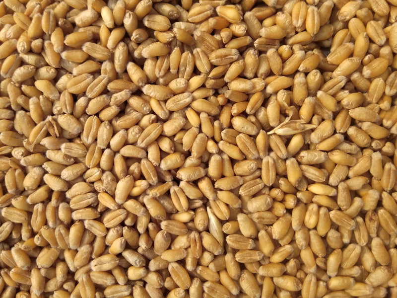 From Farm to Smart Fork: Revolutionizing Food Systems